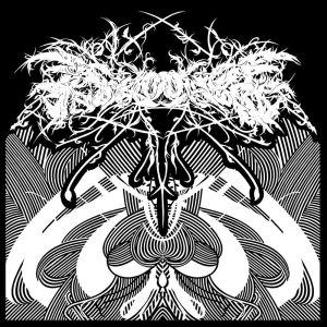 收聽Colin Marston的XI歌詞歌曲