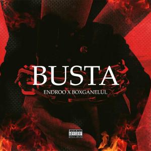 Listen to Busta(feat. Boxganelul) (Explicit) song with lyrics from Endroo