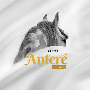 Antere dari SleeQ