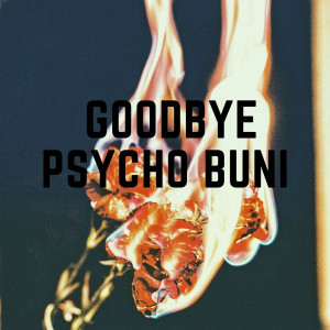 收聽Psycho Buni的Goodbye歌詞歌曲