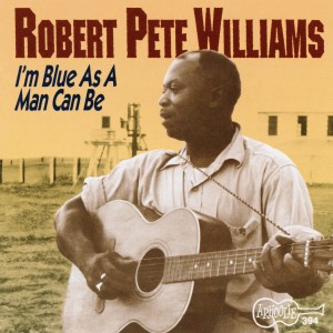 ดาวน์โหลดและฟังเพลง This Wild Old Life พร้อมเนื้อเพลงจาก Robert Pete Williams