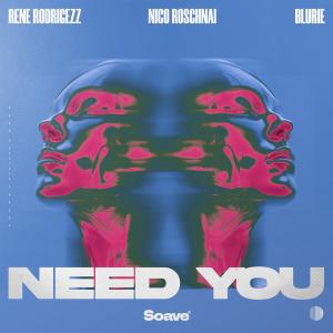 Rene Rodrigezz的專輯Need You