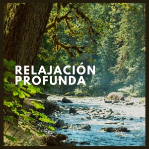 ดาวน์โหลดและฟังเพลง Relajación y Serenidad (Con Sonidos de Lluvia) พร้อมเนื้อเพลงจาก Lluvia del Bosque