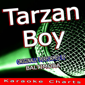 收聽Karaoke Charts的Jar of Hearts (Originally Performed By Christina Perri) [Karaoke Version] (Karaoke Version)歌詞歌曲