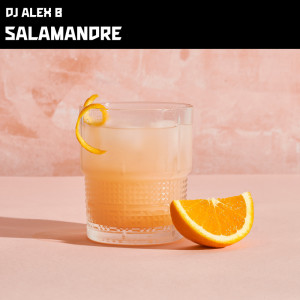 Listen to Salamandre song with lyrics from Dj Alex B