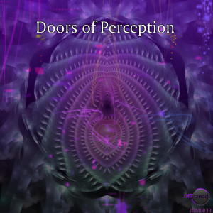 Album Doors Of Perception oleh Various Artists