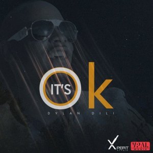 ดาวน์โหลดและฟังเพลง It's Ok พร้อมเนื้อเพลงจาก Dylan Dili