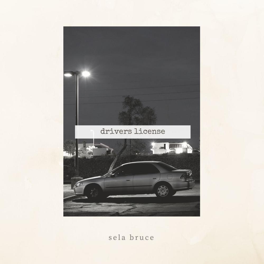 drivers license (Explicit)