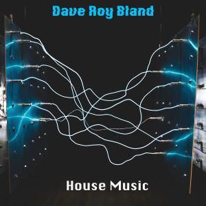 House Music (Hjm Mix) dari Dave Roy Bland