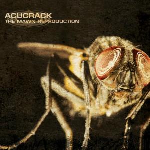 ดาวน์โหลดและฟังเพลง The Swan พร้อมเนื้อเพลงจาก Acucrack