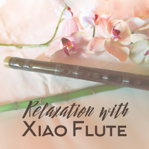 Dengarkan Breath & Flute lagu dari Meditation Music Zone dengan lirik
