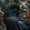 default album img
