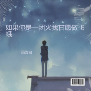 雨霖枫的专辑如果你是一团火我甘愿做飞蛾