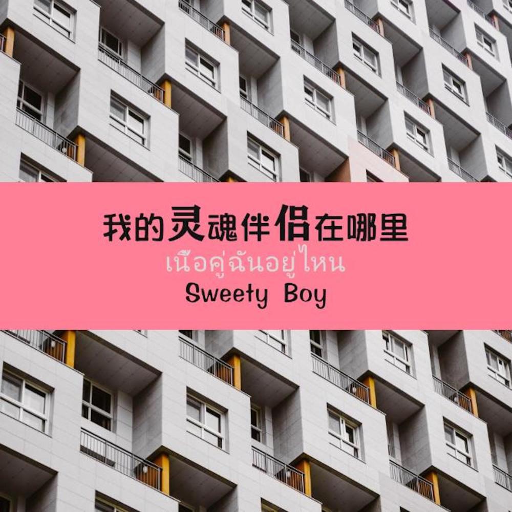 我的灵魂伴侣在哪里 (中国版)