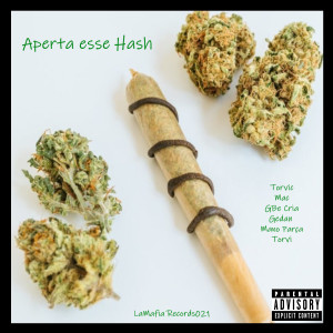 Various Artists的專輯Aperta Esse Hash (Explicit)