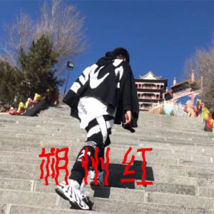 Listen to 朔州红 (完整版) song with lyrics from 童小疯