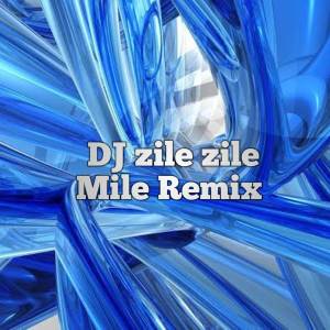 Album DJ zile zile Mile Remix from Alius