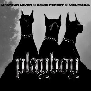 David Forest的專輯PLAYBOiii (feat. Amateur Lover & Montanna)