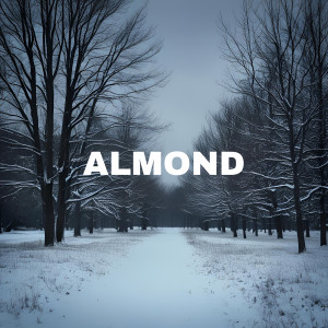Album Vergessen from Almond