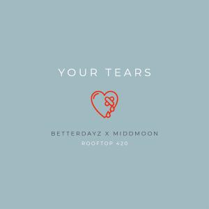 BetterDayz的專輯your tears