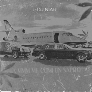 收聽DJ Niar的A Mmm Me Comi un Sapito歌詞歌曲