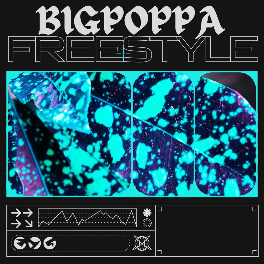 Big Poppa Freestyle (Remix|Explicit)