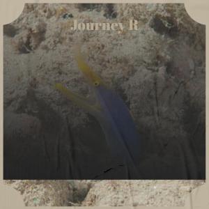 อัลบัม Journey R ศิลปิน Various