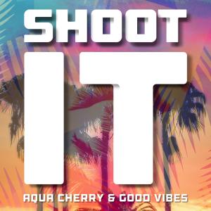 Shoot It