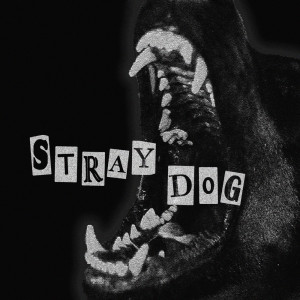 Baybe的專輯Stray Dog