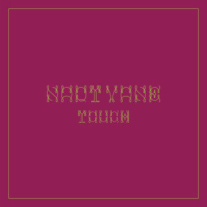 ดาวน์โหลดและฟังเพลง TOUCH (English Ver.) พร้อมเนื้อเพลงจาก NAQT VANE