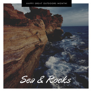 Album Sea & Rocks from Ralph Kings