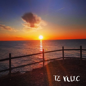 Canciona的專輯Te vuic