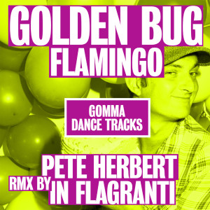 ดาวน์โหลดและฟังเพลง Flamingo (Pete Herbert Remix) พร้อมเนื้อเพลงจาก Golden Bug