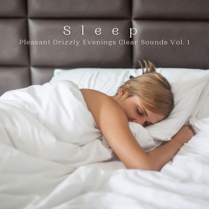 อัลบัม Sleep: Pleasant Drizzly Evenings Clear Sounds Vol. 1 ศิลปิน Asian Zen: Spa Music Meditation