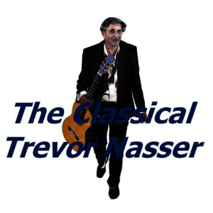 ดาวน์โหลดและฟังเพลง Mozart: Symphony No. 40 in G Minor, K. 550 พร้อมเนื้อเพลงจาก Trevor Nasser