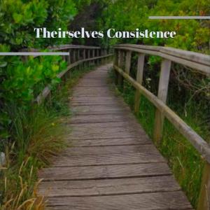 Various的专辑Theirselves Consistence
