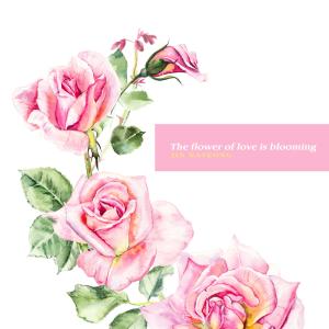 อัลบัม The Flower Of Love Is Blooming. ศิลปิน Jin Nayeong