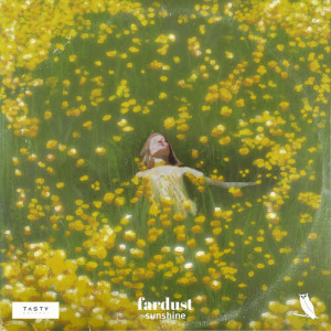 收听Fardust的Sunshine歌词歌曲