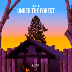 Brieuc的專輯Under The Forest