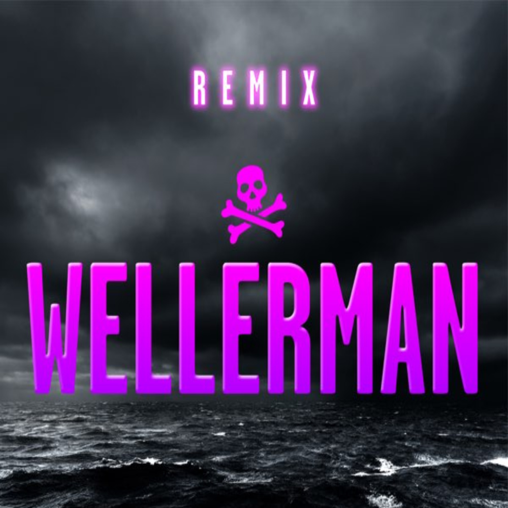 The Wellerman Remix