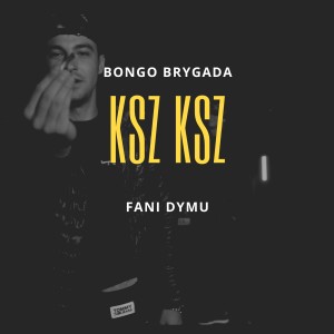 Album Ksz ksz (Explicit) from Bongo Brygada