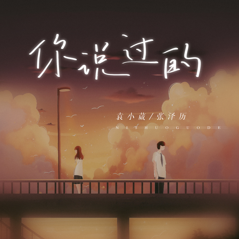 你说过的 (伴奏)