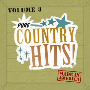 收聽Pure Country Hits的Country Strong歌詞歌曲