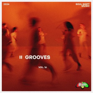 Album Grooves, Vol. 16 oleh Group Star