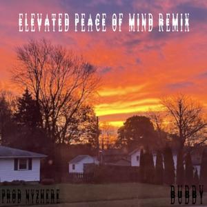ดาวน์โหลดและฟังเพลง Elevated Peace of Mind (remix|Explicit) พร้อมเนื้อเพลงจาก Bubby