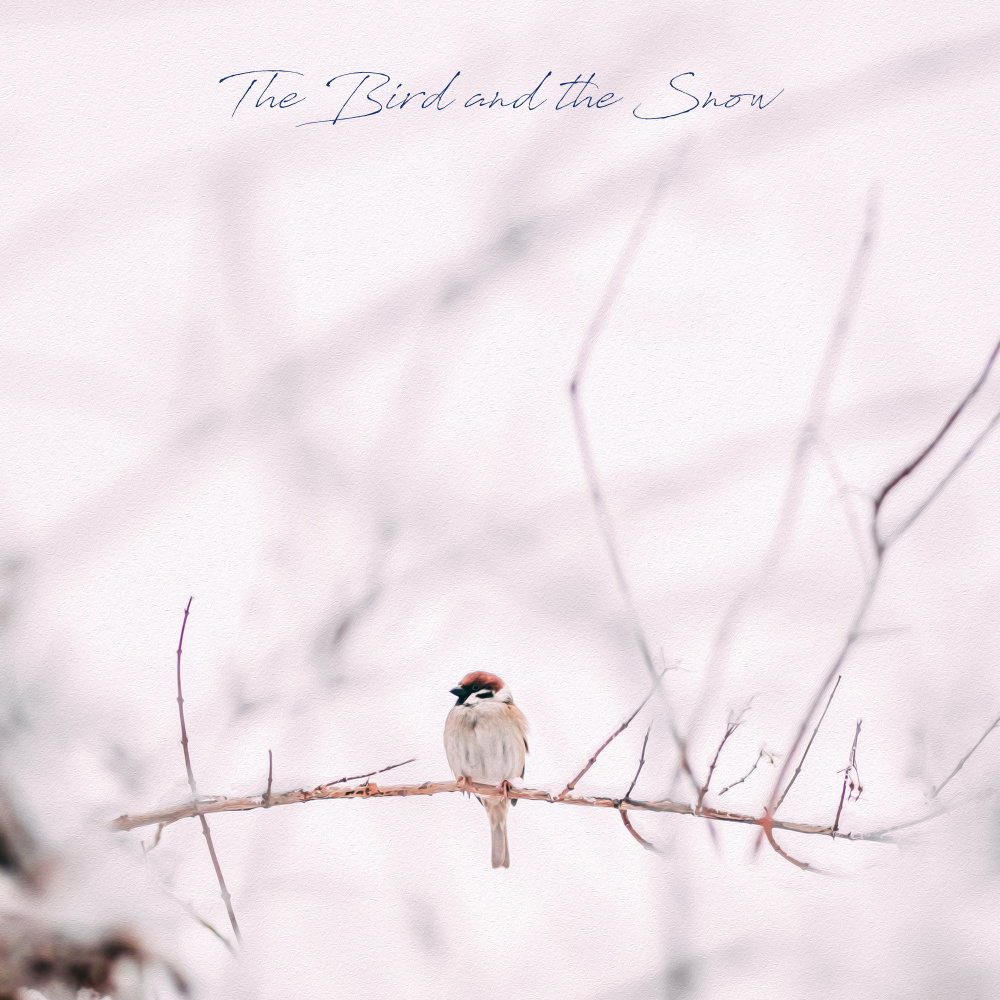 The Bird and the Snow
