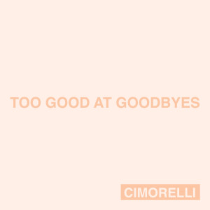 ดาวน์โหลดและฟังเพลง Too Good at Goodbyes พร้อมเนื้อเพลงจาก Cimorelli