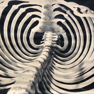 ดาวน์โหลดและฟังเพลง adrenaline (Explicit) พร้อมเนื้อเพลงจาก YOSHI SAN!