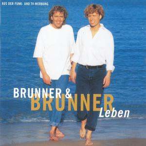 ดาวน์โหลดและฟังเพลง Hätt' dich nur einmal wer umarmt พร้อมเนื้อเพลงจาก Brunner & Brunner