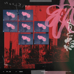 Listen to darkroom song with lyrics from not dvr